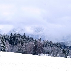 Aktiv im Winter