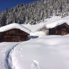 Winter bei uns_1