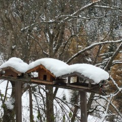 Winter bei uns_8